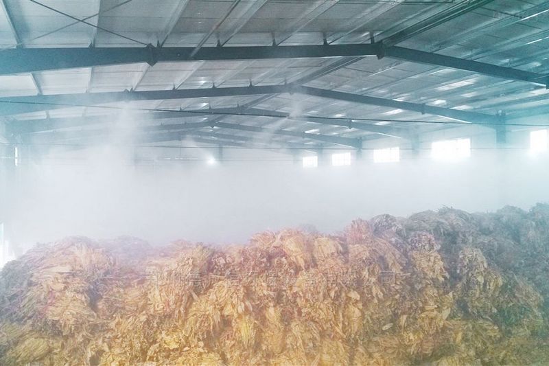 提升煙葉加工質(zhì)量，高效回潮很重要
