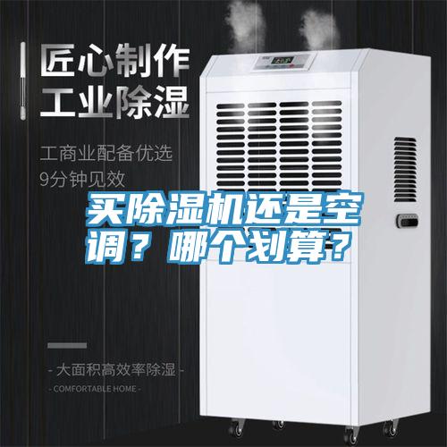 買除濕機還是空調？哪個劃算？