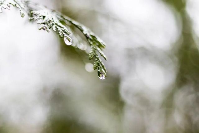 空氣濕度大帶來(lái)的危害有哪些，你知道嗎？