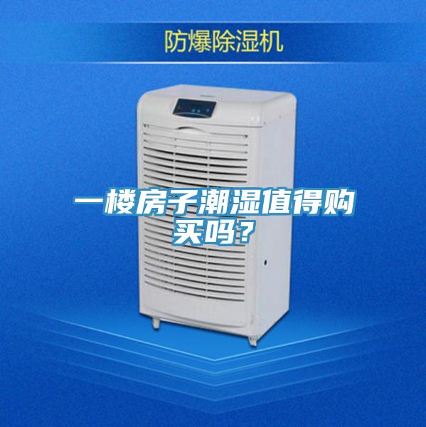 一樓房子潮濕值得購買嗎？