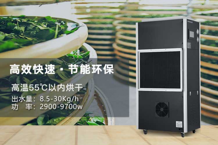 潮濕天氣來襲，螨蟲爆滿床！