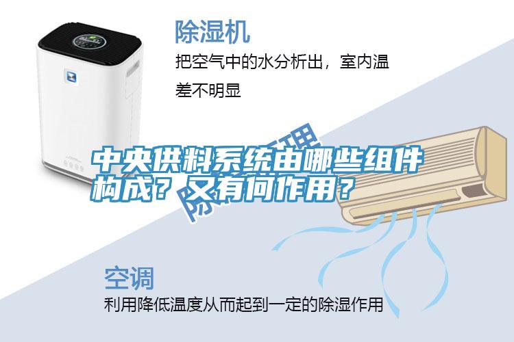 中央供料系統(tǒng)由哪些組件構(gòu)成？又有何作用？