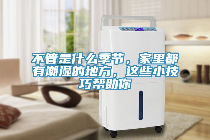 不管是什么季節(jié)，家里都有潮濕的地方，這些小技巧幫助你