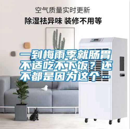 一到梅雨季就腸胃不適吃不下飯？還不都是因?yàn)檫@個(gè)…