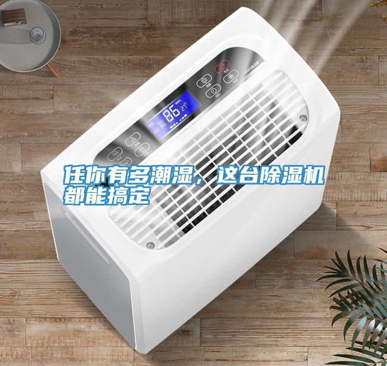 任你有多潮濕，這臺(tái)除濕機(jī)都能搞定