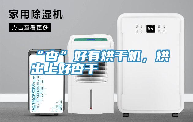 “杏”好有烘干機，烘出上好杏干