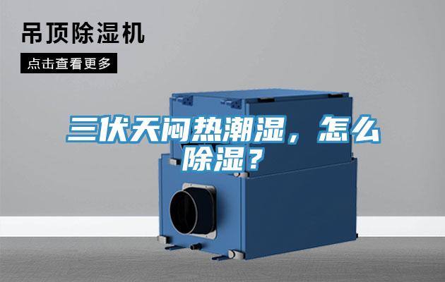 三伏天悶熱潮濕，怎么除濕？