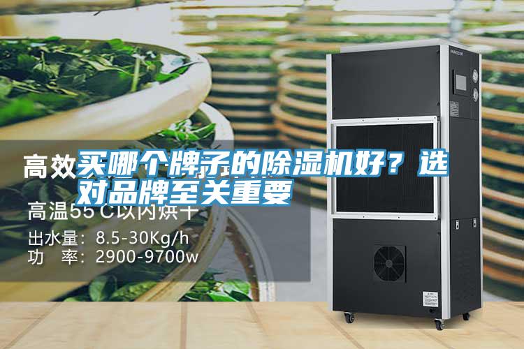 買哪個(gè)牌子的除濕機(jī)好？選對(duì)品牌至關(guān)重要