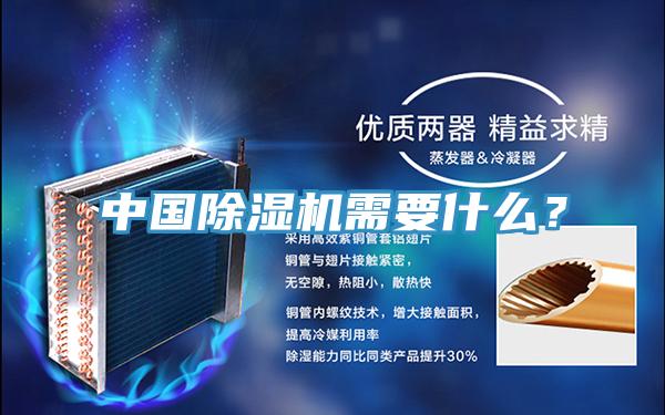 中國除濕機需要什么？