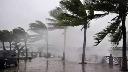 8月臺(tái)風(fēng)雨即將來(lái)，除濕機(jī)還得用起來(lái)