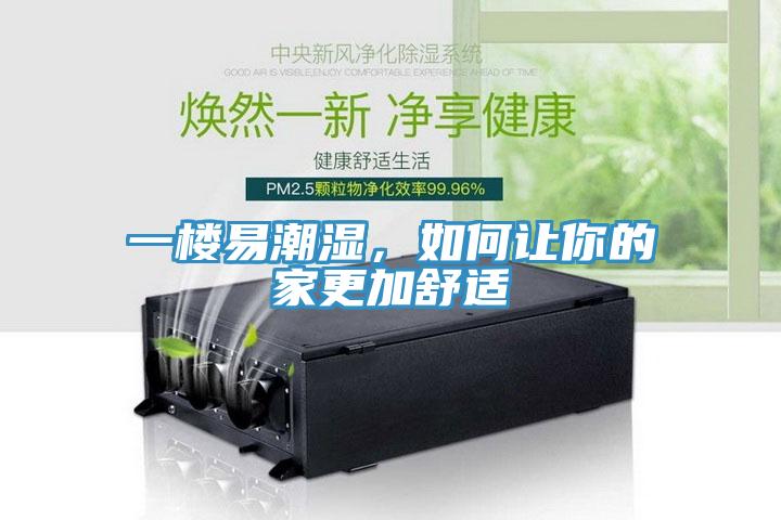 一樓易潮濕，如何讓你的家更加舒適