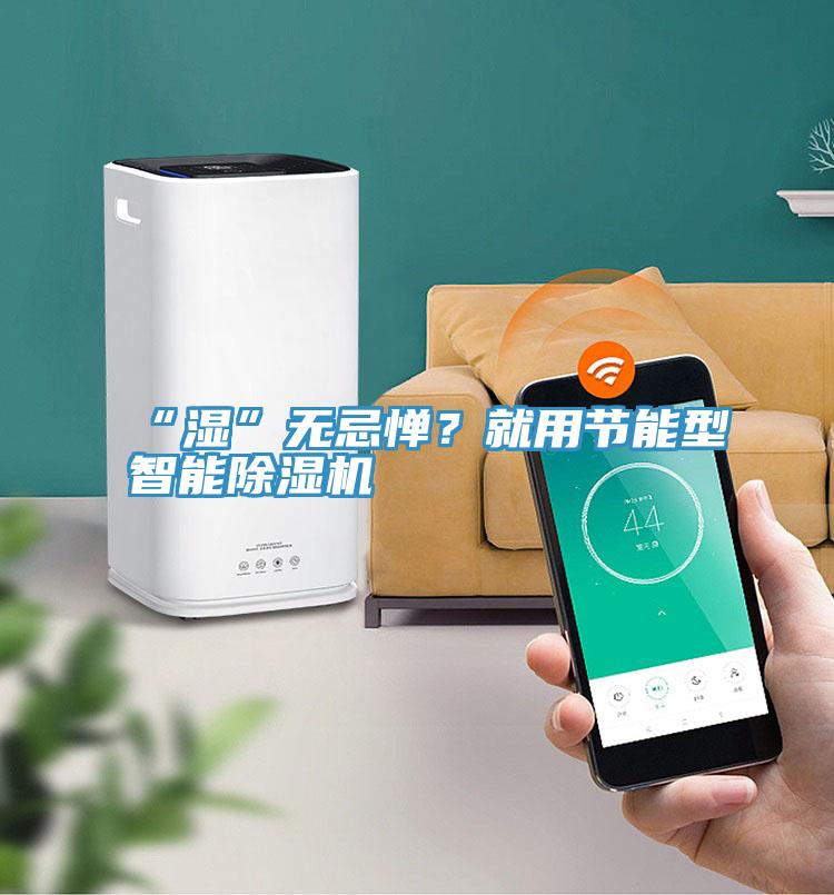 “濕”無忌憚？就用節(jié)能型智能除濕機