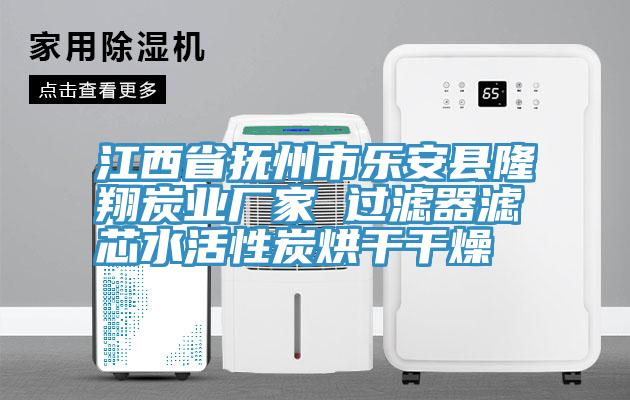 江西省撫州市樂安縣隆翔炭業(yè)廠家 過(guò)濾器濾芯水活性炭烘干干燥