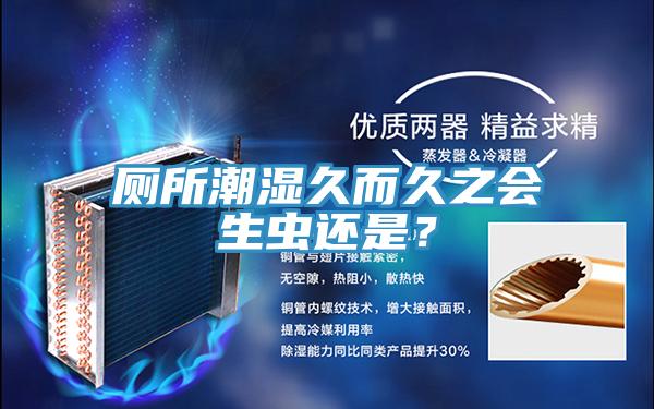 廁所潮濕久而久之會(huì)生蟲(chóng)還是？