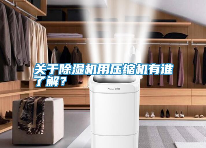 關(guān)于除濕機(jī)用壓縮機(jī)有誰了解？