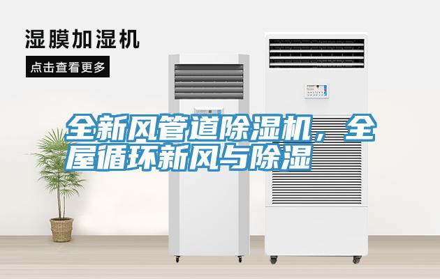 全新風管道除濕機，全屋循環(huán)新風與除濕