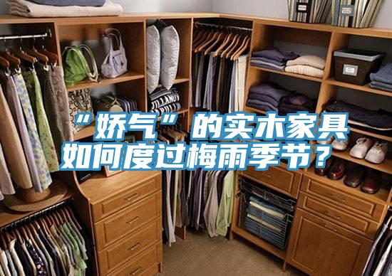 “嬌氣”的實木家具如何度過梅雨季節(jié)？