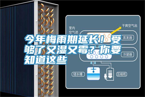 今年梅雨期延長！受夠了又濕又霉？你要知道這些