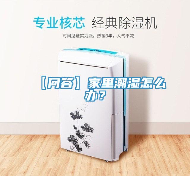 【問答】家里潮濕怎么辦？
