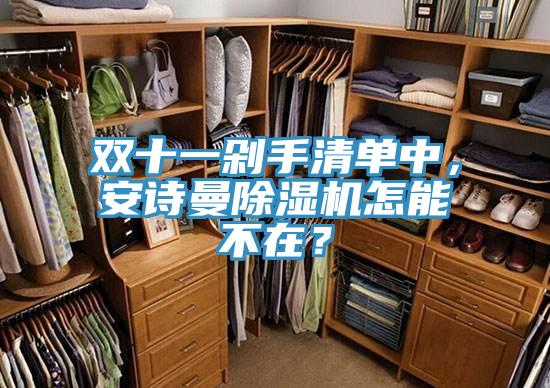 雙十一剁手清單中，安詩曼除濕機(jī)怎能不在？