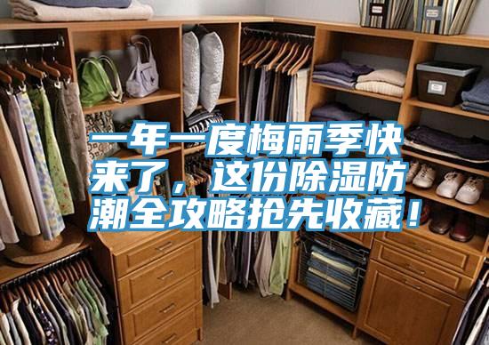 一年一度梅雨季快來了，這份除濕防潮全攻略搶先收藏！