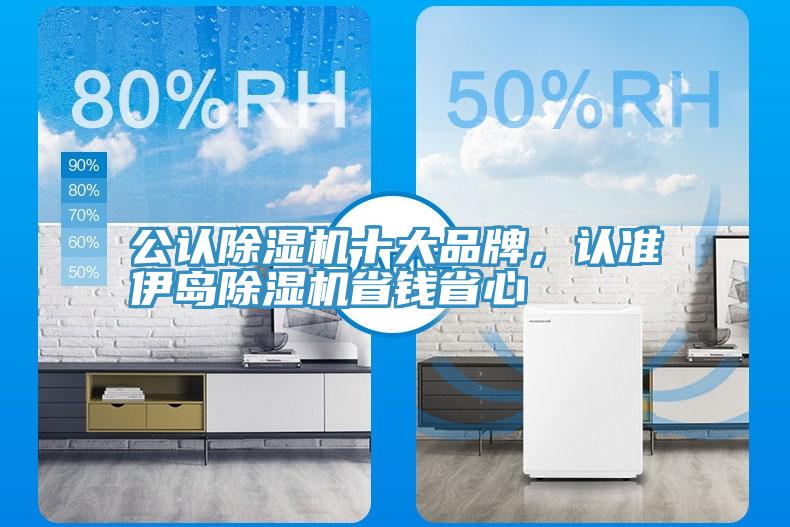 公認除濕機十大品牌，認準伊島除濕機省錢省心