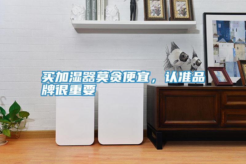 買加濕器莫貪便宜，認(rèn)準(zhǔn)品牌很重要