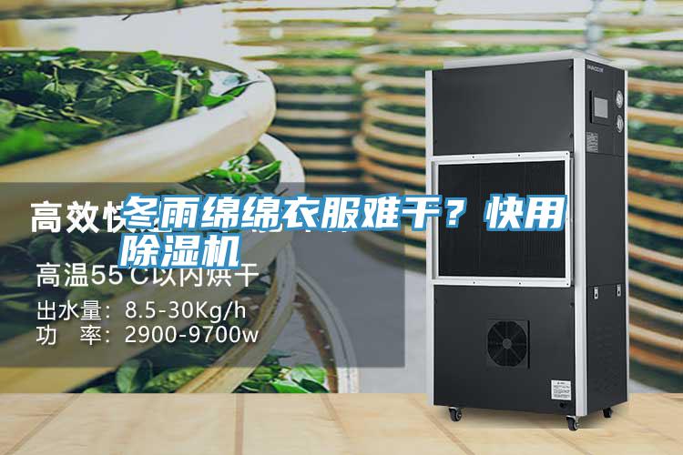 冬雨綿綿衣服難干？快用除濕機