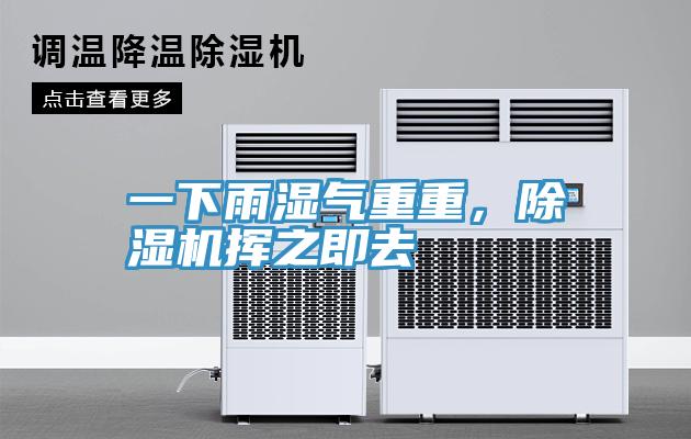 一下雨濕氣重重，除濕機揮之即去