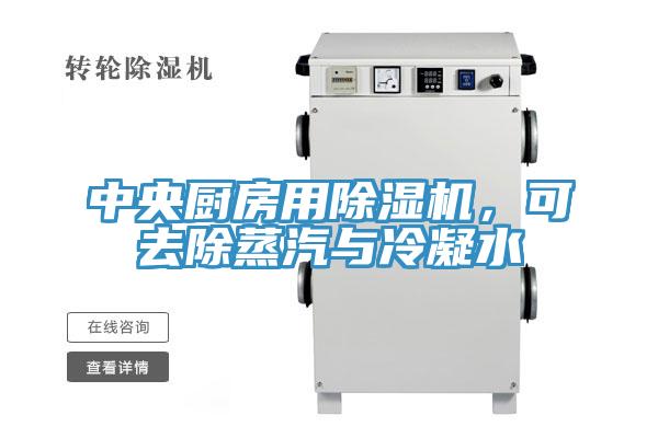 中央廚房用除濕機(jī)，可去除蒸汽與冷凝水