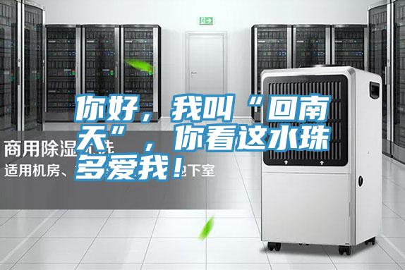 你好，我叫“回南天”，你看這水珠多愛(ài)我！