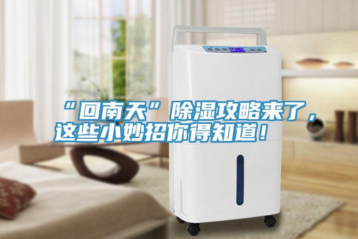 “回南天”除濕攻略來(lái)了，這些小妙招你得知道！