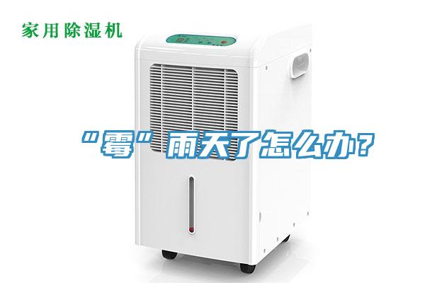 “霉”雨天了怎么辦？
