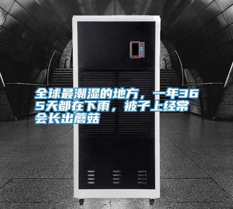 全球最潮濕的地方，一年365天都在下雨，被子上經常會長出蘑菇