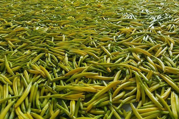 無硫金針菜烘干如何保持品相？不發(fā)黑？_除濕機(jī)廠家