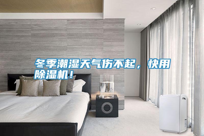 冬季潮濕天氣傷不起，快用除濕機(jī)！