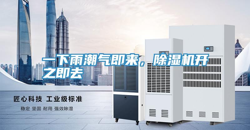 一下雨潮氣即來，除濕機開之即去