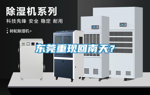 東莞重現(xiàn)回南天？