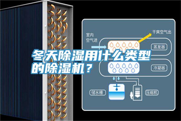 冬天除濕用什么類(lèi)型的除濕機(jī)？