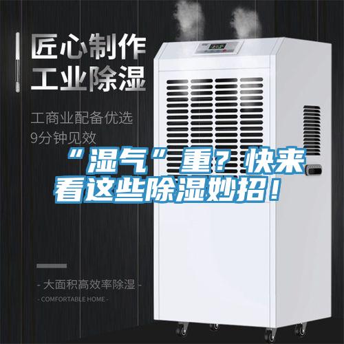 “濕氣”重？快來看這些除濕妙招！
