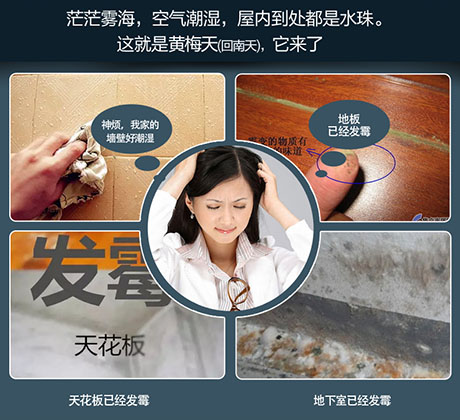 家庭別墅的地下室、衛(wèi)生間、儲物室等該如何除濕？
