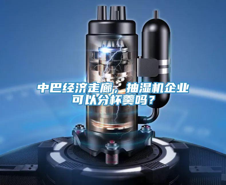 中巴經(jīng)濟(jì)走廊，抽濕機(jī)企業(yè)可以分杯羹嗎？