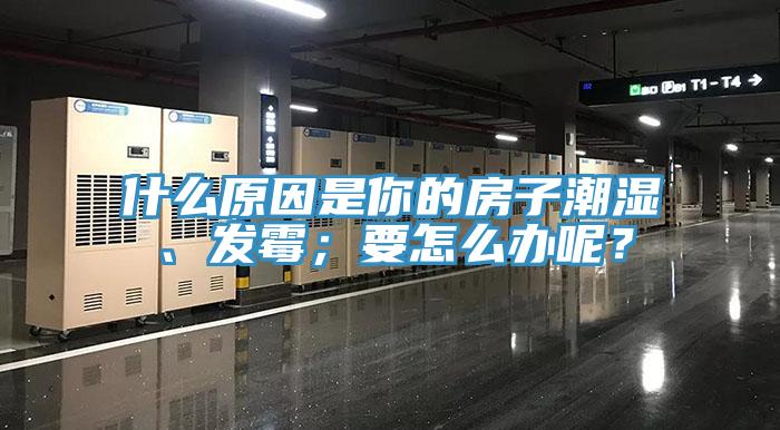 什么原因是你的房子潮濕、發(fā)霉；要怎么辦呢？
