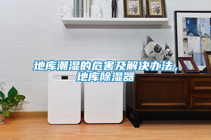 地庫潮濕的危害及解決辦法，地庫除濕器