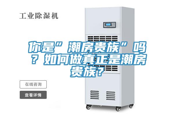 你是”潮房貴族”嗎？如何做真正是潮房貴族？