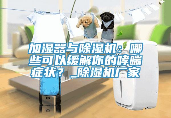 加濕器與除濕機(jī)：哪些可以緩解你的哮喘癥狀？_除濕機(jī)廠家
