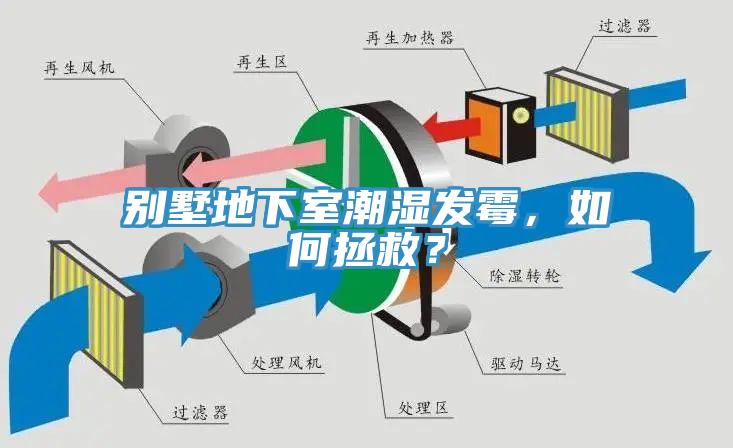 別墅地下室潮濕發(fā)霉，如何拯救？
