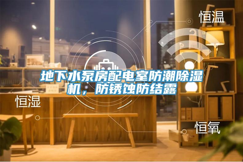 地下水泵房配電室防潮除濕機(jī)，防銹蝕防結(jié)露