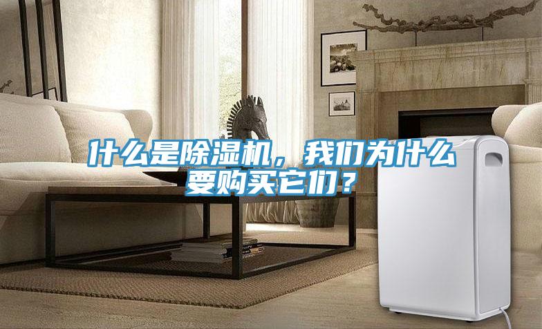 什么是除濕機，我們?yōu)槭裁匆徺I它們？