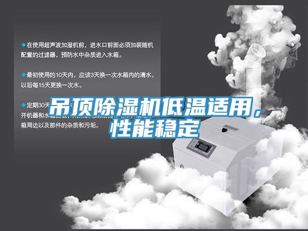 吊頂除濕機低溫適用，性能穩(wěn)定